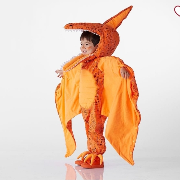 Pottery Barn Kids Orange Pterodactyl Costume Size 4-6 - Picture 8 of 8